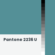 Color chip: Pantone 2236 U