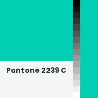 Color chip: Pantone 2239 C