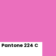Color chip: Pantone 224 C