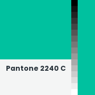 Color chip: Pantone 2240 C