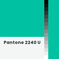 Color chip: Pantone 2240 U