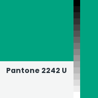 Color chip: Pantone 2242 U