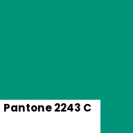 Color chip: Pantone 2243 C