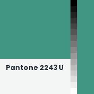 Color chip: Pantone 2243 U