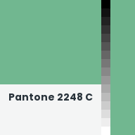 Color chip: Pantone 2248 C