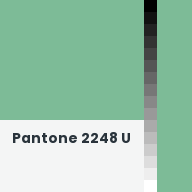 Color chip: Pantone 2248 U