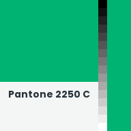 Color chip: Pantone 2250 C