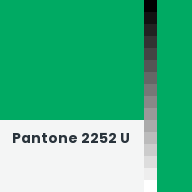 Color chip: Pantone 2252 U