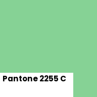 Color chip: Pantone 2255 C