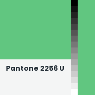 Color chip: Pantone 2256 U