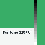 Color chip: Pantone 2257 U