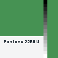 Color chip: Pantone 2258 U