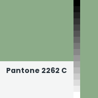 Color chip: Pantone 2262 C