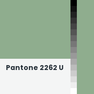 Color chip: Pantone 2262 U