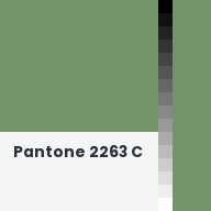 Color chip: Pantone 2263 C