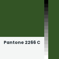 Color chip: Pantone 2266 C