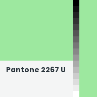 Color chip: Pantone 2267 U
