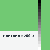 Color chip: Pantone 2269 U