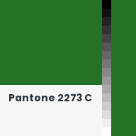 Color chip: Pantone 2273 C