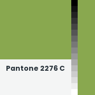Color chip: Pantone 2276 C