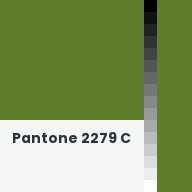 Color chip: Pantone 2279 C