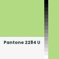 Color chip: Pantone 2284 U