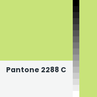 Color chip: Pantone 2288 C