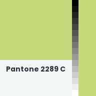 Color chip: Pantone 2289 C
