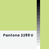 Color chip: Pantone 2289 U