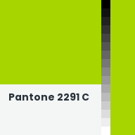 Color chip: Pantone 2291 C