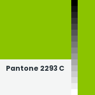 Color chip: Pantone 2293 C