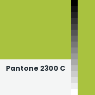 Color chip: Pantone 2300 C