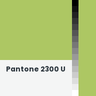 Color chip: Pantone 2300 U