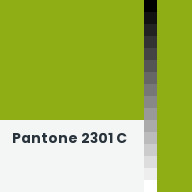 Color chip: Pantone 2301 C