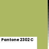 Color chip: Pantone 2302 C