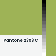 Color chip: Pantone 2303 C