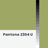 Color chip: Pantone 2304 U