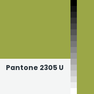 Color chip: Pantone 2305 U