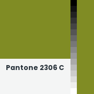 Color chip: Pantone 2306 C