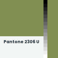 Color chip: Pantone 2306 U