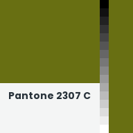 Color chip: Pantone 2307 C