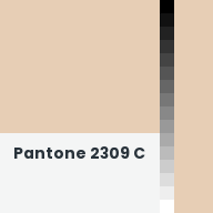 Color chip: Pantone 2309 C