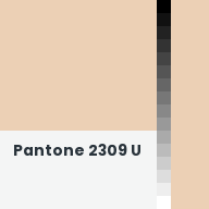 Color chip: Pantone 2309 U