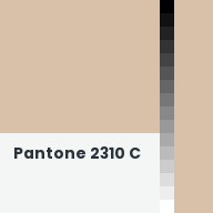 Color chip: Pantone 2310 C