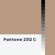 Color chip: Pantone 2312 C