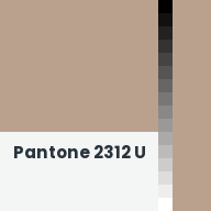 Color chip: Pantone 2312 U