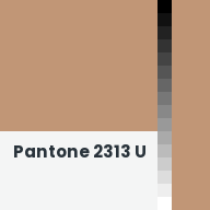 Color chip: Pantone 2313 U