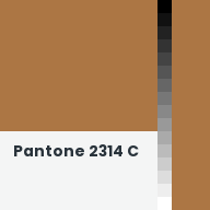 Color chip: Pantone 2314 C