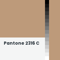 Color chip: Pantone 2316 C
