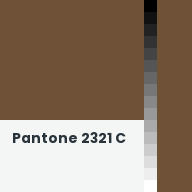 Color chip: Pantone 2321 C